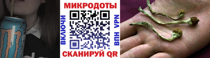 купить наркоту  Сковородино  Псилоцибиновые грибы GOLDEN TEACHER 