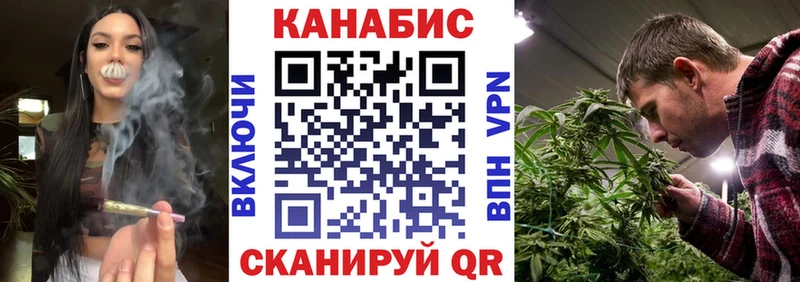 Бошки марихуана план  магазин продажи наркотиков  Сковородино 